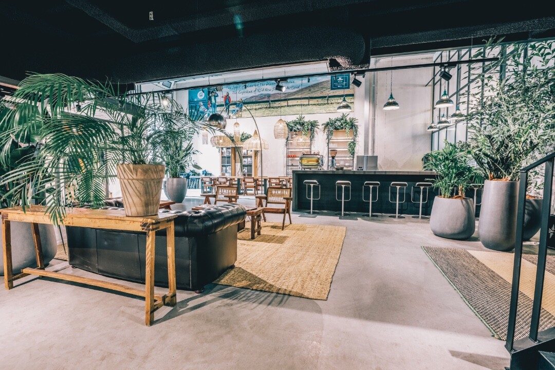 NZA NEW ZEALAND AUCKLAND