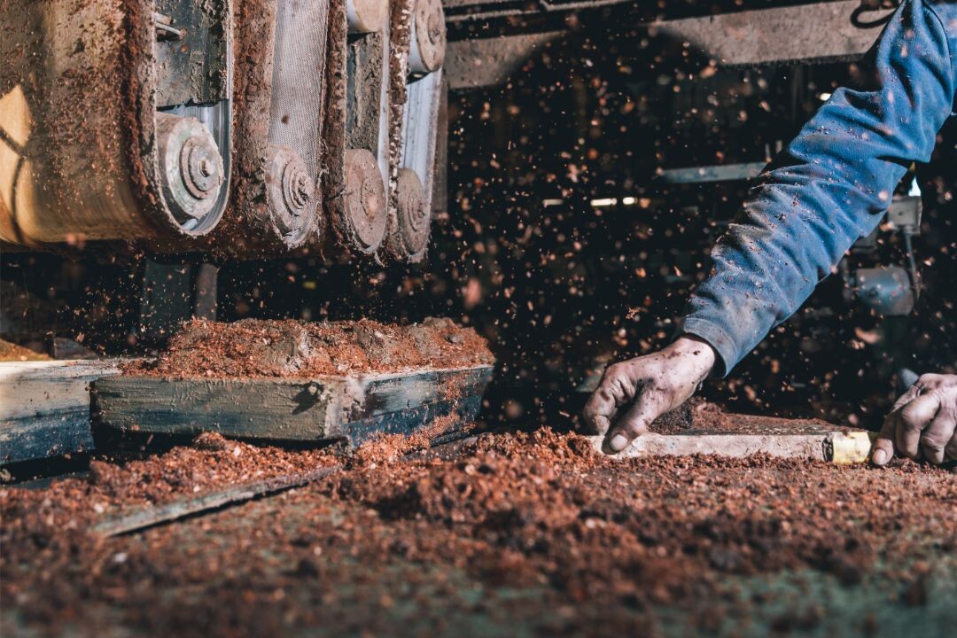 VOGELENSAGNH A BRICK STORY