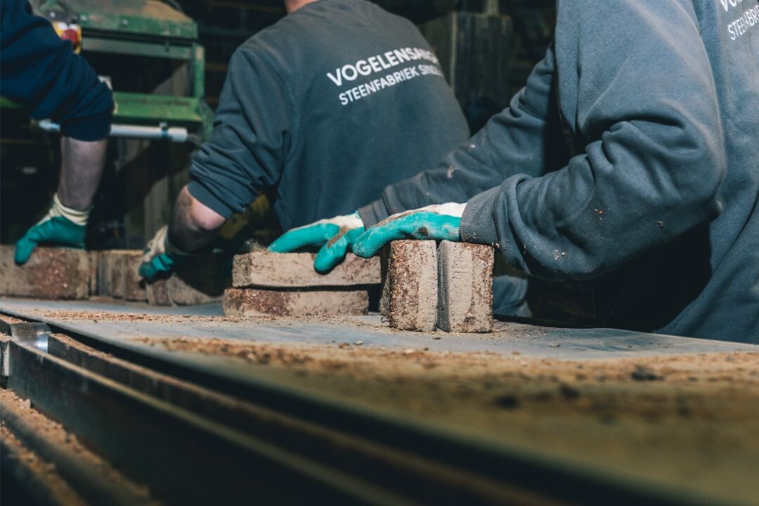 VOGELENSAGNH A BRICK STORY